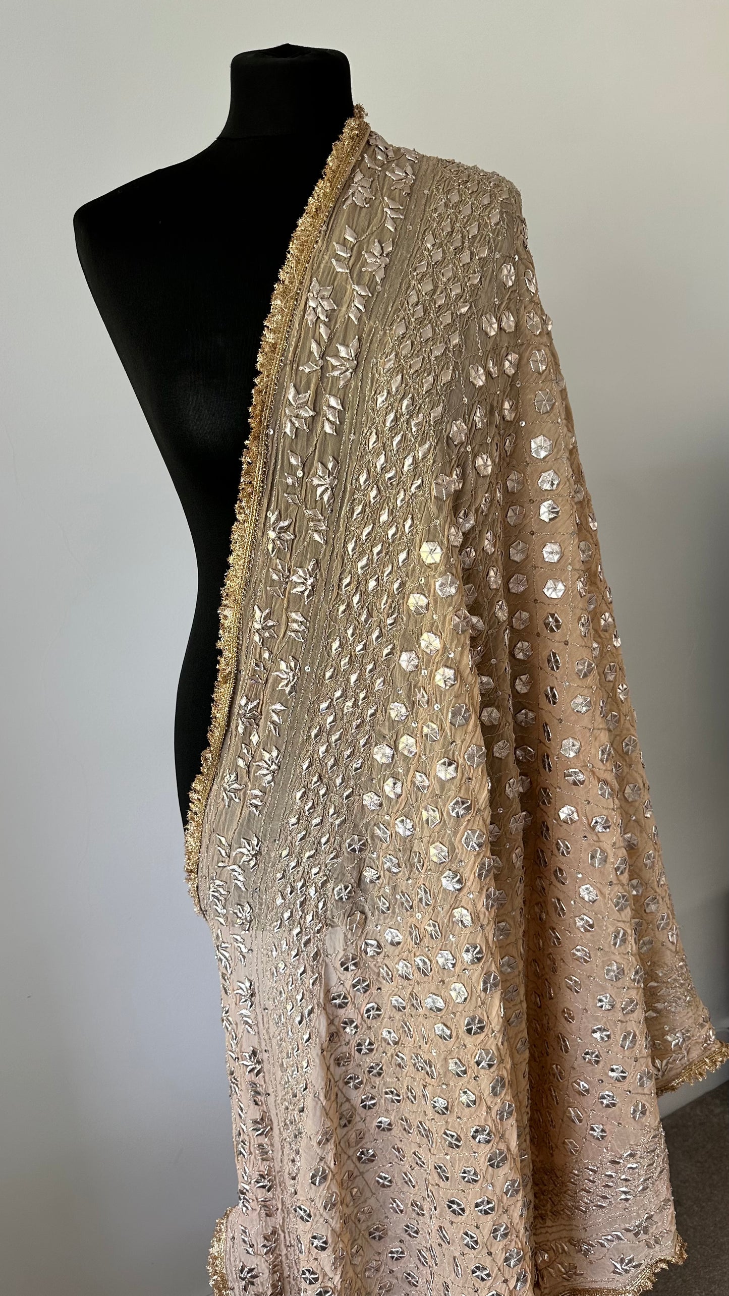 Nude with gold fringe | The Oh My Gota Statement Duputta